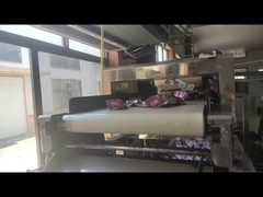 اندازه قابل تنظیم و طول کمربند فلز شناس برای بررسی اشیاء مواد غذایی فلز شناس ماشین