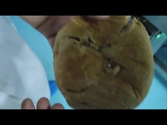 ماشین نقلیه اتوماتیک دستگاه تشخیص فلز صنعتی برای ماشین ایمنی مواد غذایی سفارشی سازنده OEM