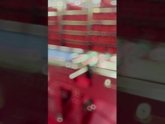 دستگاه رصد اشعه ایکس مواد غذایی صنعتی برای شناسایی اجسام خارجی