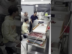 فلزیاب درجه مواد غذایی