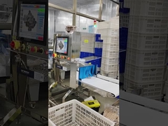 دستگاه بازرسی اشعه ایکس محصولات غذایی خشک و مرطوب برای صنعت بسته بندی محصولات بطری شده کنسرو شده