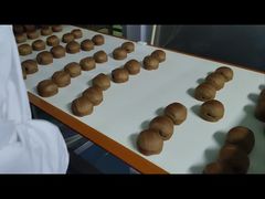 0.01g ريزولوشن فلز شناس براي فرآوری غذاها از محصولات شما در برابر آلودگی فلز محافظت مي کند