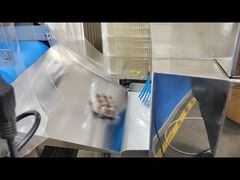 آشکارساز فلز و شیشه ایمنی مواد غذایی برای محصولات قوطی با ریجکتورها، دستگاه های اشعه ایکس برای صنایع غذایی